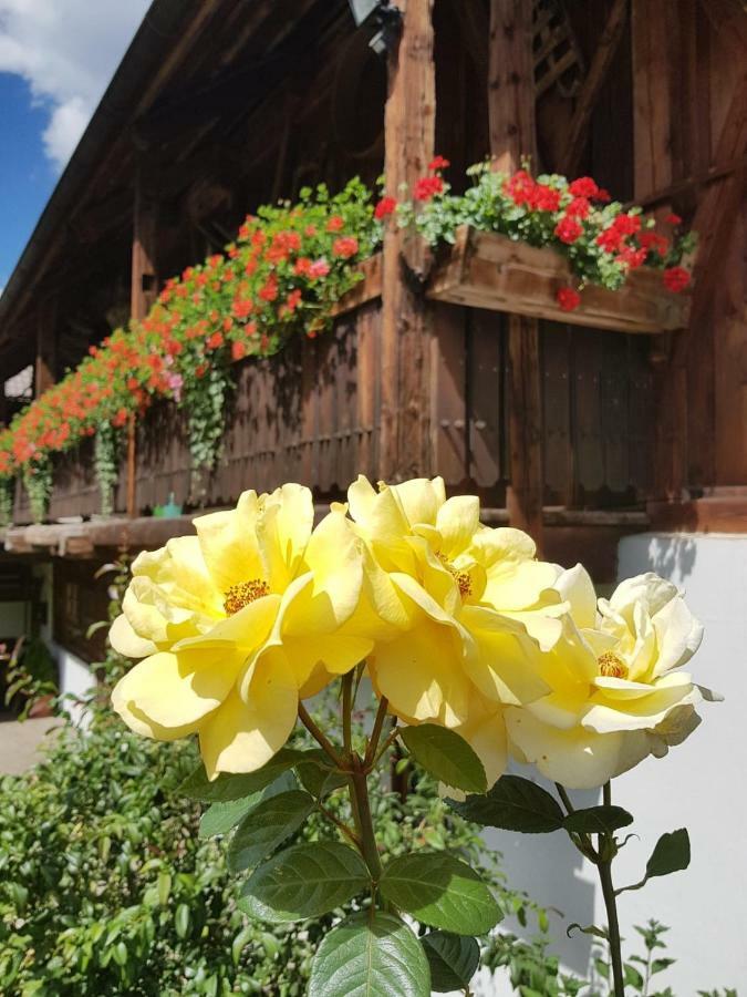 Willa Muellerhof Anterselva di Mezzo Zewnętrze zdjęcie